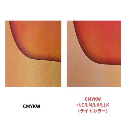 PRO DTF ink (ライトカラー)